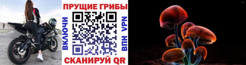 Псилоцибиновые грибы мицелий  цена   Ковров 