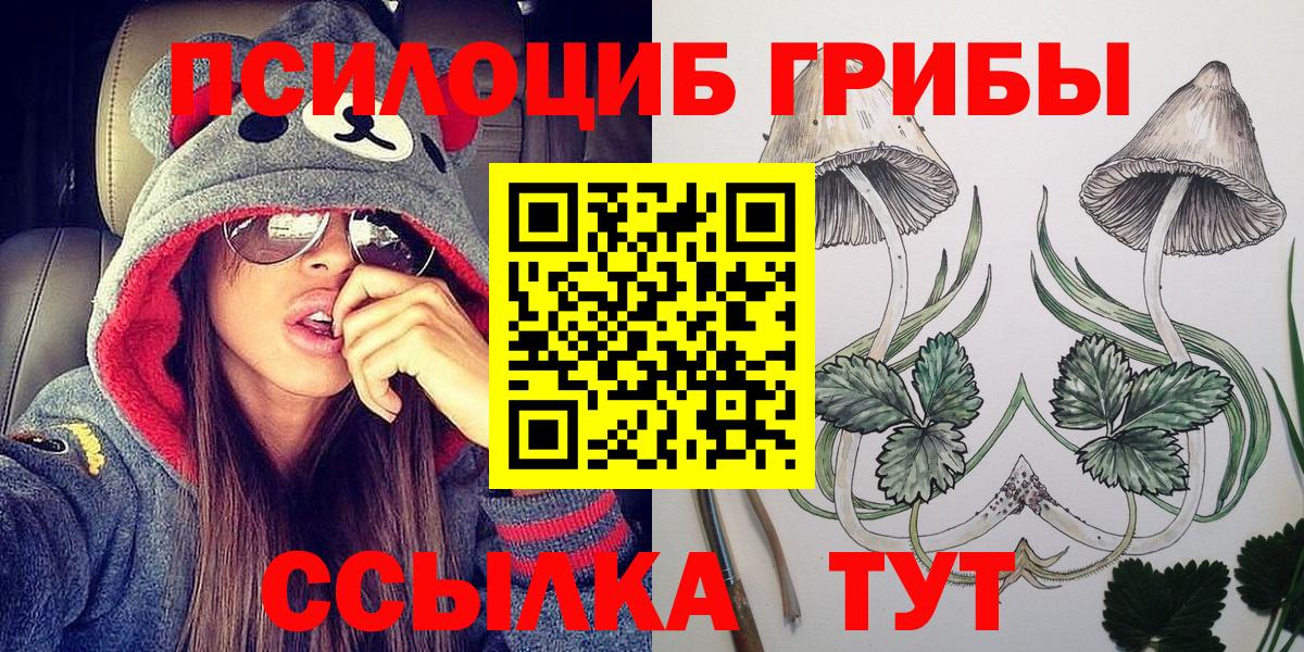 Псилоцибиновые грибы MAGIC MUSHROOMS  Галлюциногенные грибы Psilocybe  Ковров  Вход с VPN 