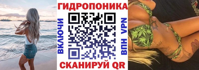 Бошки марихуана SATIVA & INDICA  ОМГ ОМГ зеркало  Ковров 
